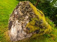 Isle of Skye